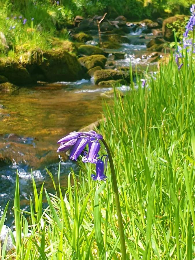 Bijou Cottage In Bronte Country With Wood-Burning Stove & Hot Tub Spa Haworth Luaran gambar