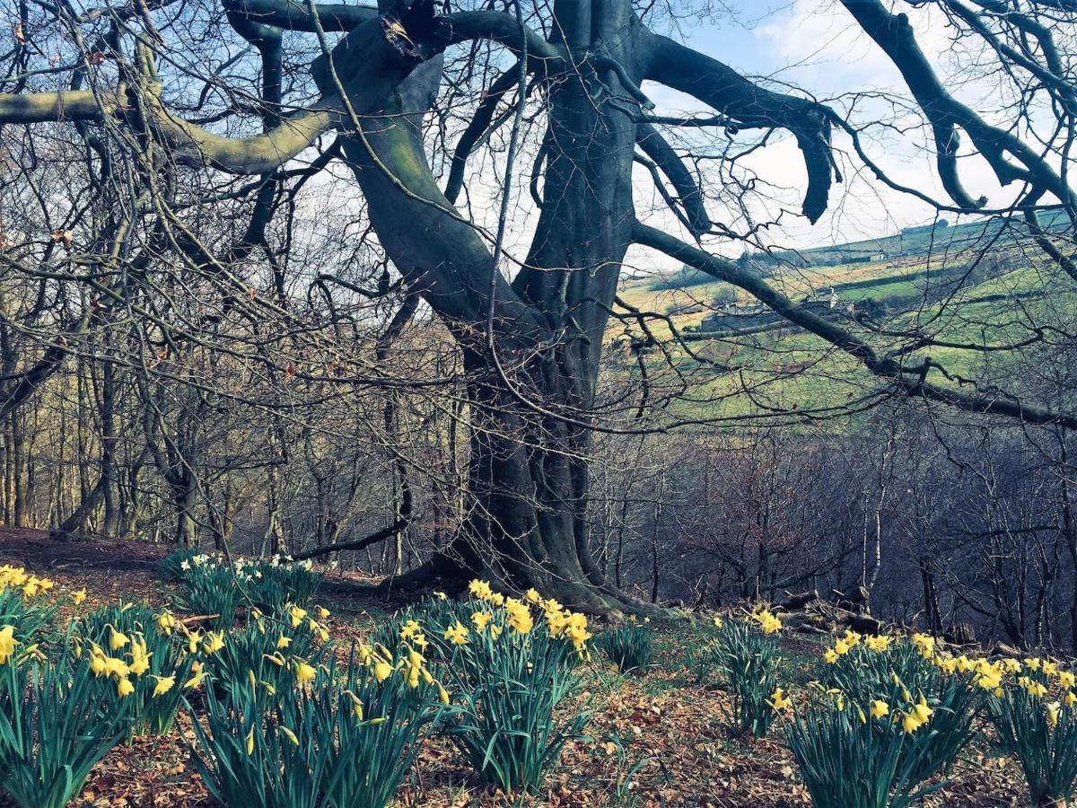 Bijou Cottage In Bronte Country With Wood-Burning Stove & Hot Tub Spa Haworth Luaran gambar